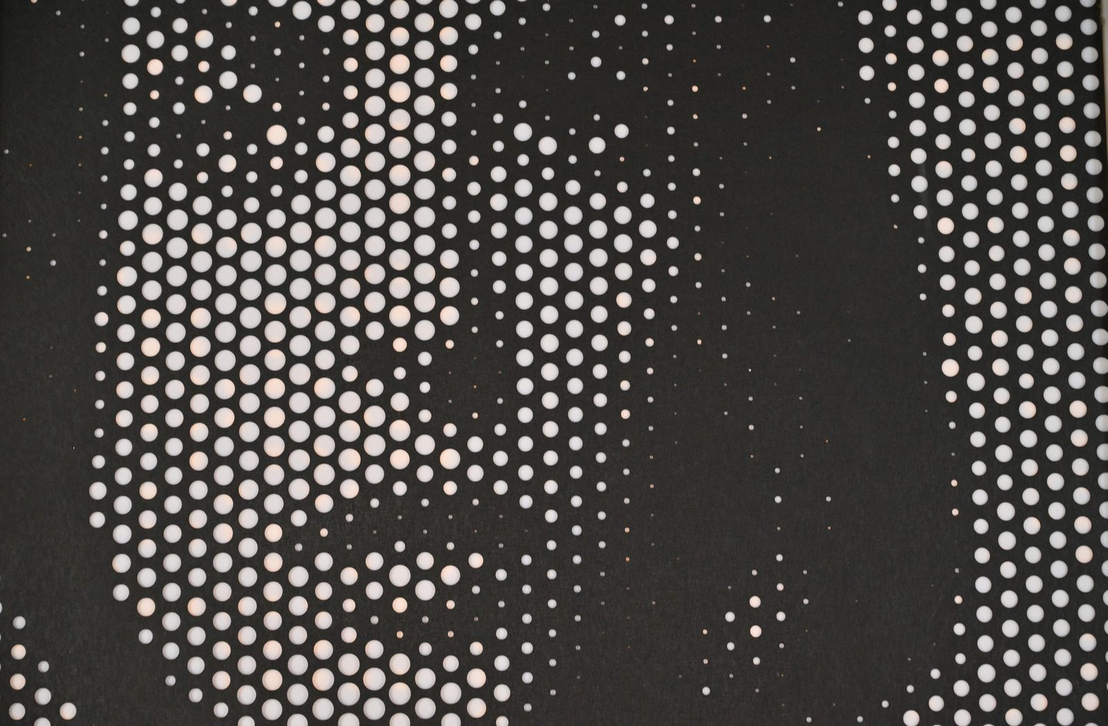 Solid Panels facade by Metalia — Customised perforated panel